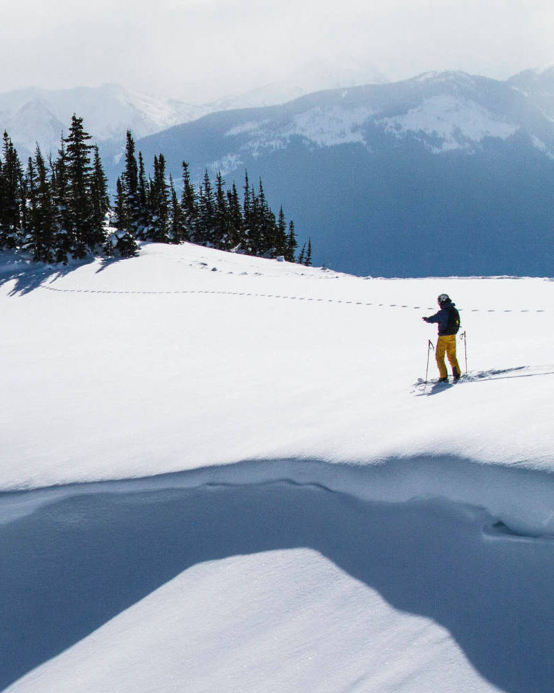 Voyages Héliski Canada L'Or Blanc ski poudreuse