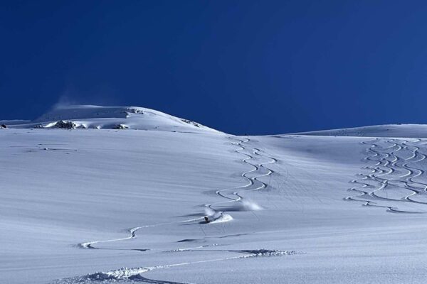 heliski - Valgrisenche - L'Or Blanc Travel