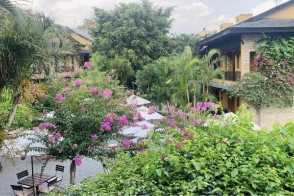garden