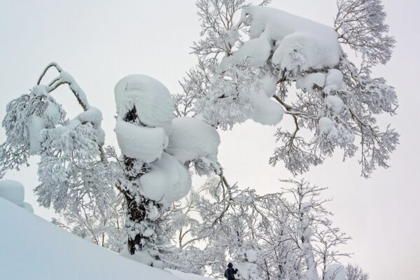 lorblanc_freerando_japon_hokkaido-1