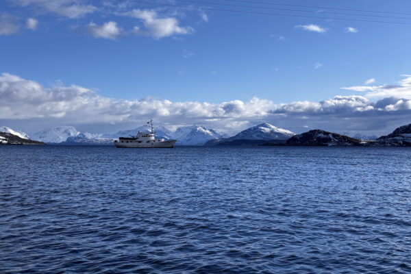 boat trip Lyngen alps / L'Or Blanc agency