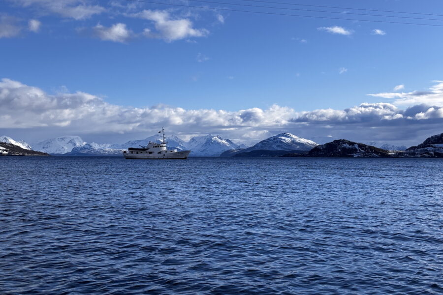 boat trip Lyngen alps / L'Or Blanc agency